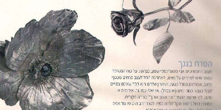 ירחון את