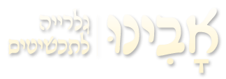 טבעות אירוסין מיוחדות בשיבוץ אבני חן